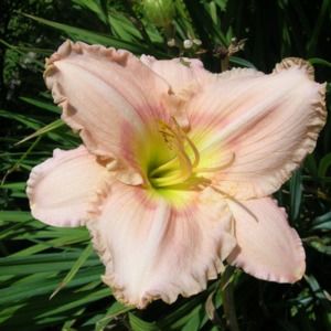 Meet your Posher, Natalia